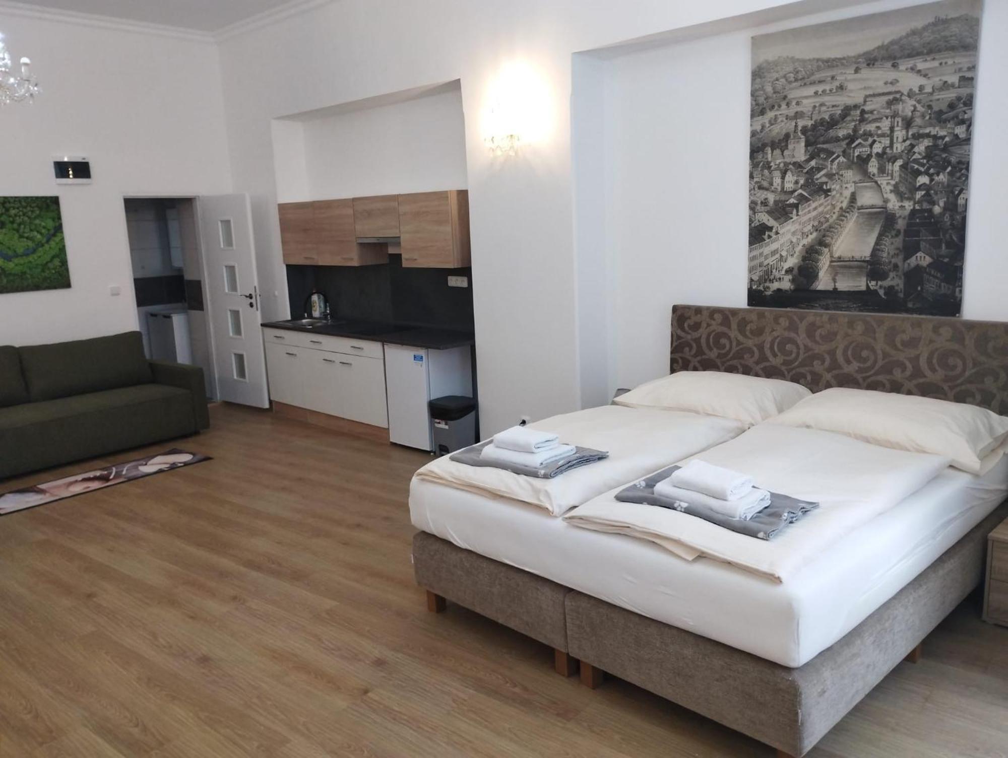 Paderewski Apartment Karlovy Vary