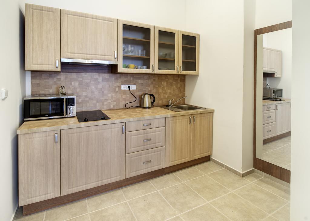 Apartment Paderewski Karlovy Vary